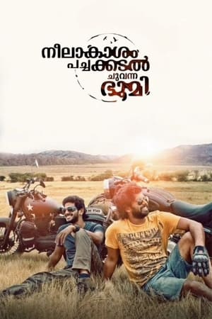 Neelakasham Pachakadal Chuvanna Bhoomi (2013) Hindi Dubbed 480p HDRip 450MB - Movierulz