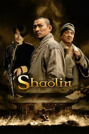 Shaolin (2011) Hindi Dual Audio 480p BluRay 400MB - Movierulz